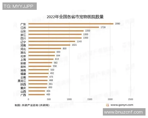 成都与重庆足球队赛后分析实力对比与未来展望